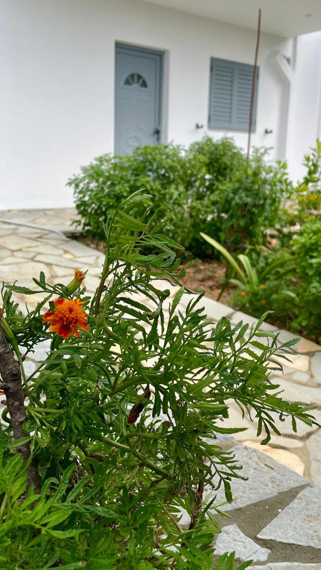 Tasos Rooms Himare Luaran gambar
